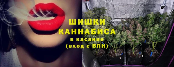 кокс Арсеньев