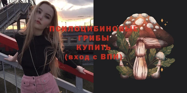 тгк Алексин